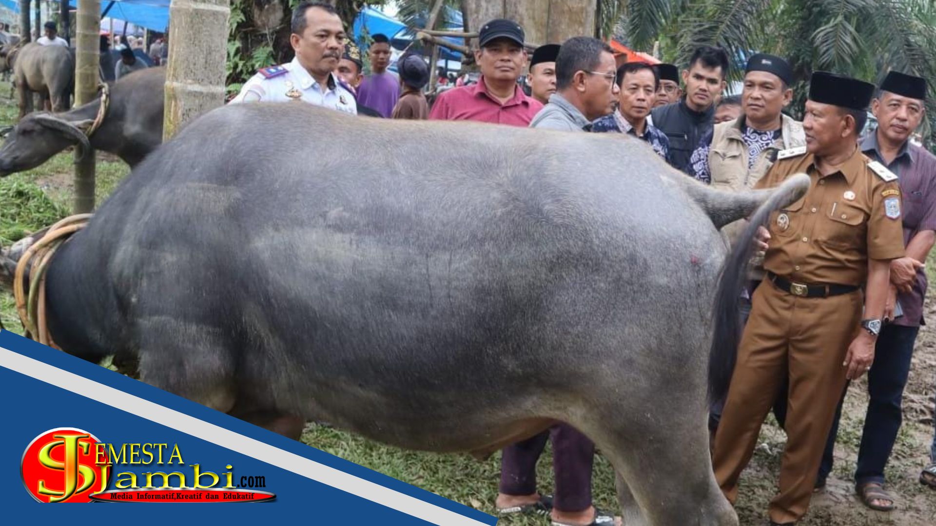 1 20250226 060629 0000