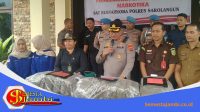 Kapolres Sarolangun Akbp Wendi Oktariansyah Memimpin Pemusnahan Ganja
