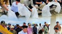 Restocking Ikan Oleh Pemerintah Di Sungai Batang Merao