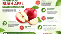 Buah Apel Merah Segar Kaya Manfaat Untuk Kesehatan Tubuh