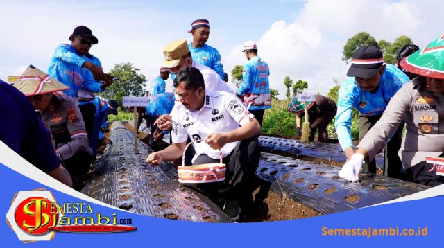 Bupati Kerinci Monadi Mengikuti Penanaman Bawang Putih Serentak Di Kayu Aro